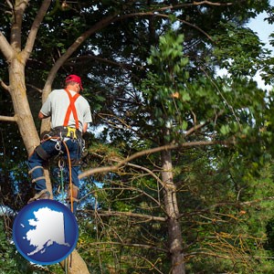 an arborist pruning a tree - with Alaska icon