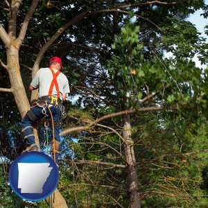 an arborist pruning a tree - with Arkansas icon