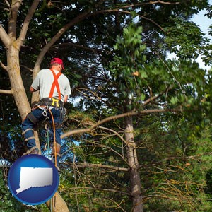 an arborist pruning a tree - with Connecticut icon