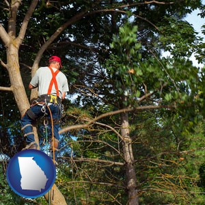 an arborist pruning a tree - with Georgia icon