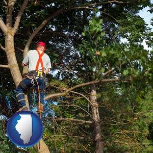 an arborist pruning a tree - with Illinois icon