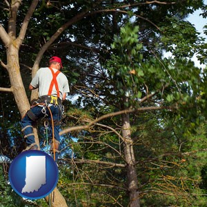 an arborist pruning a tree - with Indiana icon