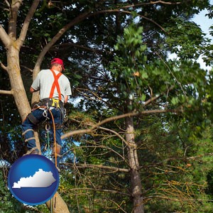 an arborist pruning a tree - with Kentucky icon