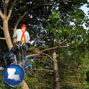 an arborist pruning a tree - with Louisiana icon