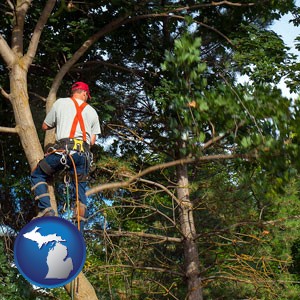 an arborist pruning a tree - with Michigan icon