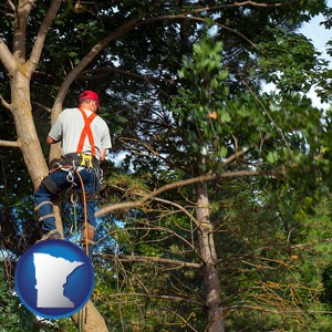 an arborist pruning a tree - with Minnesota icon