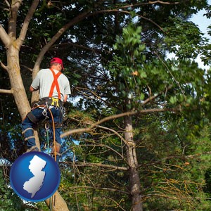 an arborist pruning a tree - with New Jersey icon