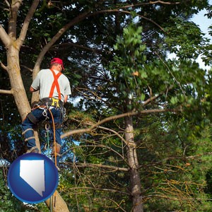 an arborist pruning a tree - with Nevada icon