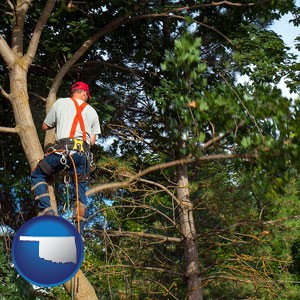 an arborist pruning a tree - with Oklahoma icon