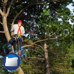 an arborist pruning a tree - with Oregon icon