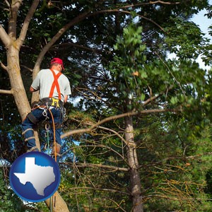 an arborist pruning a tree - with Texas icon