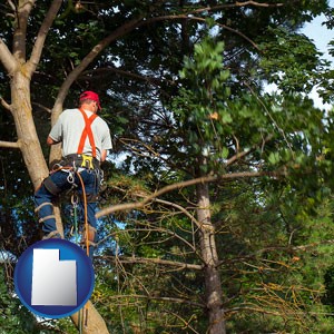 an arborist pruning a tree - with Utah icon